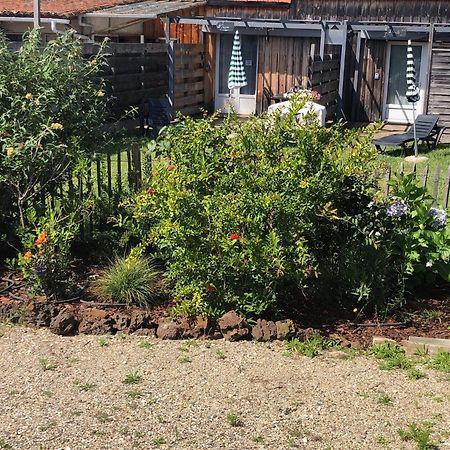 Les Logis D'Argent Studio Independant Parking Entree Autonome Linge De Lit Et Serviettes Wifi Fibre Tv Connectee Mimizan-Plage Exteriér fotografie