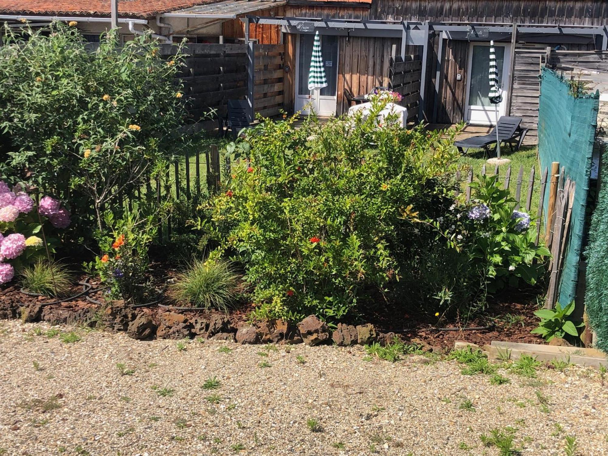 Les Logis D'Argent Studio Independant Parking Entree Autonome Linge De Lit Et Serviettes Wifi Fibre Tv Connectee Mimizan-Plage Exteriér fotografie