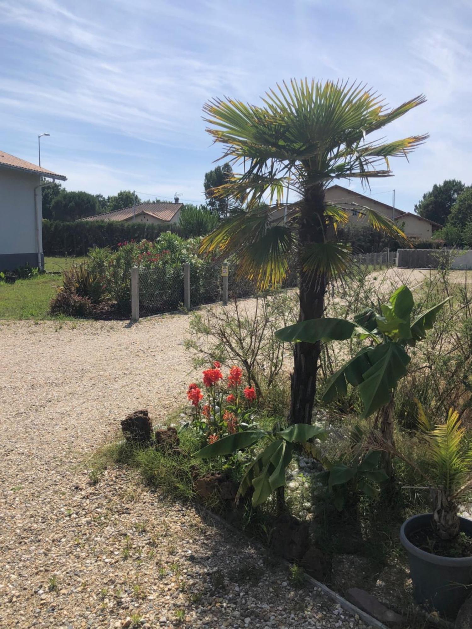 Les Logis D'Argent Studio Independant Parking Entree Autonome Linge De Lit Et Serviettes Wifi Fibre Tv Connectee Mimizan-Plage Exteriér fotografie